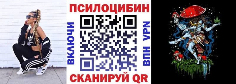 Псилоцибиновые грибы Psilocybe  Купить где  Городовиковск 