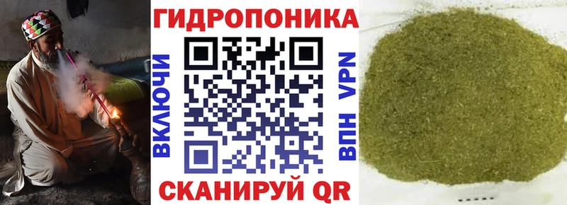 Канабис White Widow  Купить закладки  Городовиковск 